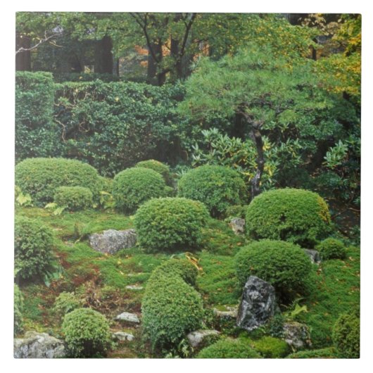 Sanzen-in Temple, Ohara, Kyoto, Japan 3 Tegeltje (Voorkant)