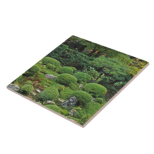 Sanzen-in Temple, Ohara, Kyoto, Japan 3 Tegeltje (Zijkant)