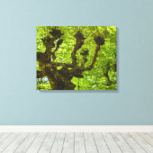 Sao Miguel-eiland Canvas Afdruk (Insitu (Houten vloer))