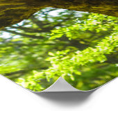 Sao Miguel-eiland Poster (Hoek)