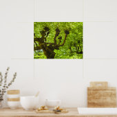 Sao Miguel-eiland Poster (Keuken)