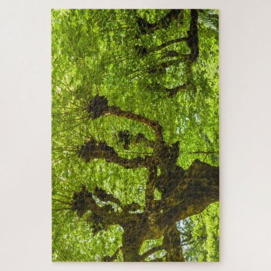 Sao Miguel Island Legpuzzel (Verticaal)