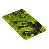 Sao Miguel Island Magneet (Rechterzijde)