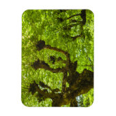 Sao Miguel Island Magneet (Verticaal)