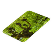 Sao Miguel Island Magneet (Linkerzijde)