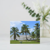 Sao Paulo, Brazilië palmbomen Briefkaart (Staand voorkant)