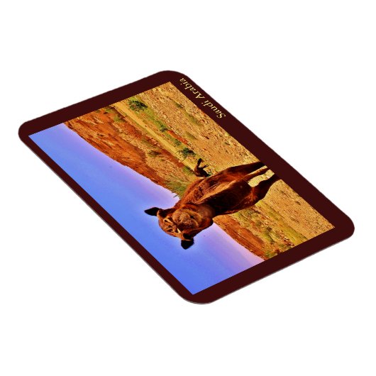 Saoedi-Arabië Magneet (Rechterzijde)