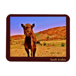Saoedi-Arabië Magneet