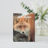 Saoedi-Arabische Fox Briefkaart (Staand voorkant)
