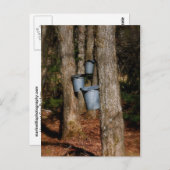 Sap Buckets Briefkaart (Voorkant / Achterkant)