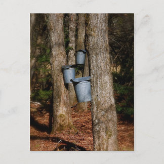 Sap Buckets Briefkaart