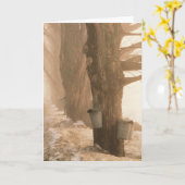 SAP BUCKETS-WENSKAARTEN KAART (Gele Bloem)