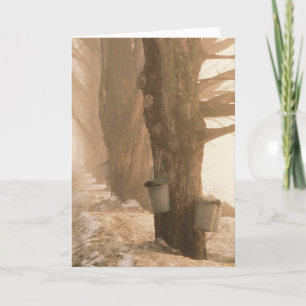 SAP BUCKETS-WENSKAARTEN KAART