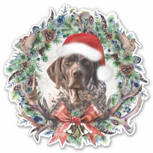 SAP Kerstmis Sticker (Voorkant)