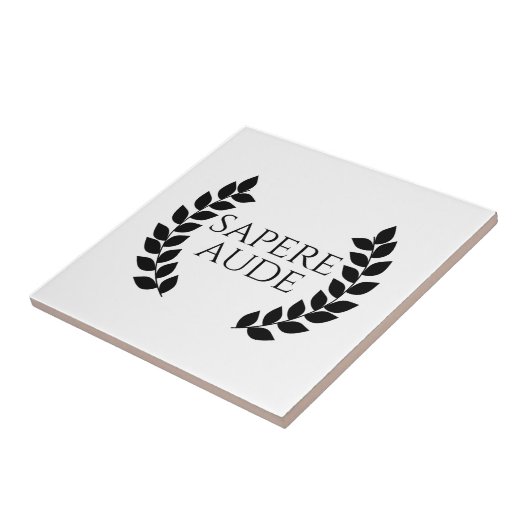 Sapere Aude Tegeltje (Zijkant)