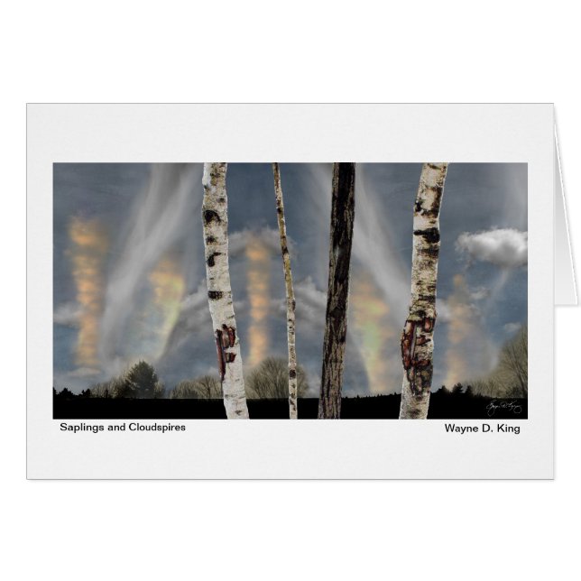 Saplings en wolkenspinnen (Voorkant Horizontaal)