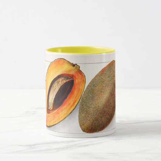 Sapote Mok (Midden)