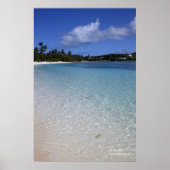 Sapphire Beach, St. Thomas Poster (Voorkant)