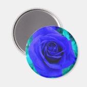 Sapphire Blue Roos magnet (Voorkant / Achterkant)