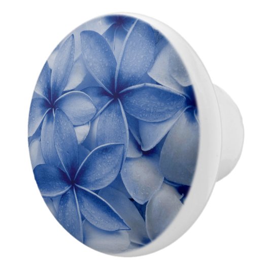 Sapphire en Azure Flowers Keramische Knop (Rechts)