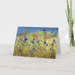 Sapphire & Gold Card Kaart