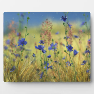 Sapphire & Gold Plaque Fotoplaat