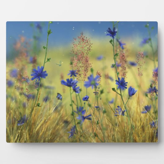 Sapphire & Gold Plaque Fotoplaat (Voorkant)