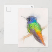 Sapphire Hummingbird Portrait Briefkaart (Voorkant / Achterkant)