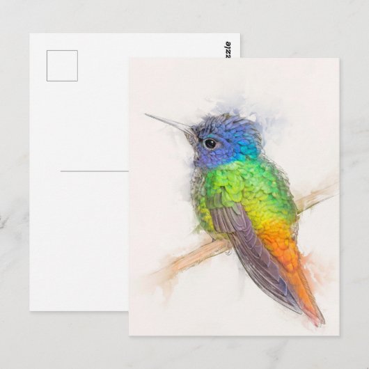 Sapphire Hummingbird Portrait Briefkaart (Voorkant / Achterkant)