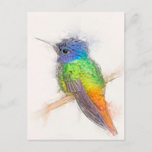 Sapphire Hummingbird Portrait Briefkaart (Voorkant)