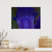 Sapphire Iris Poster | Botanische Macro Kunst (Keuken)