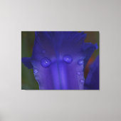 Sapphire Serenity Canvas Afdruk (Voorkant)