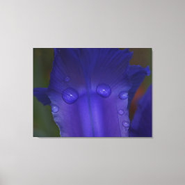 Sapphire Serenity  Canvas Afdruk