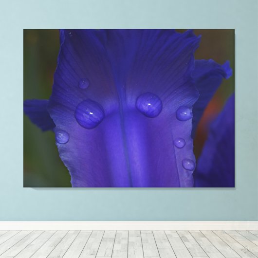 Sapphire Serenity Canvas Afdruk (Insitu (Houten vloer))