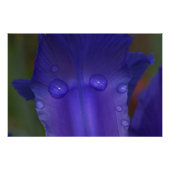 Sapphire Serenity Foto Afdruk (Voorkant)