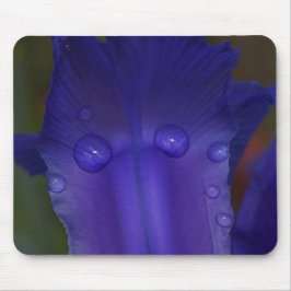 Sapphire Serenity  Muismat