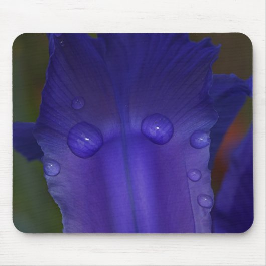 Sapphire Serenity Muismat (Voorkant)