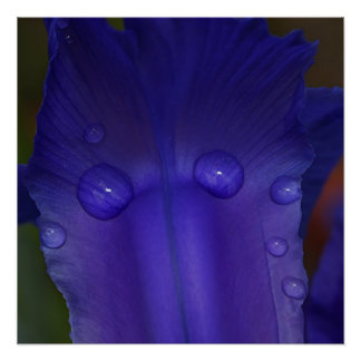 Sapphire Serenity  Perfect Poster