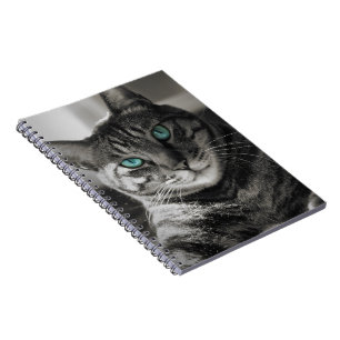 Sapphire Soul Stille Blik Tabby Kat Portret Spira Notitieboek