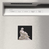 Sappho, 1852 magneet (Insitu (Vaatwasser))