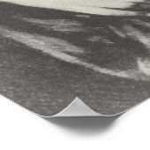 Sappho Poster (Hoek)