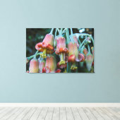 Sappige Echeveria-bloesems Canvas Afdruk (Insitu (Houten vloer))