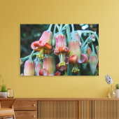 Sappige Echeveria-bloesems Canvas Afdruk (Insitu (Woonkamer))