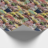 Sappige planten in potten cadeaupapier (Hoek)