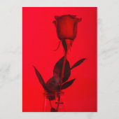Sappige Rode Monochrome Enkele Roos die Stout word Kaart (Achterkant)