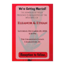 Sappige Rode Monochrome Enkele Roos die Stout word