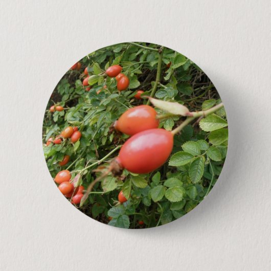 Sappige Rode Rozenbottels Knop Ronde Button 5,7 Cm (Voorkant)