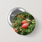 Sappige Rode Rozenbottels Knop Ronde Button 5,7 Cm (Voorkant /achterkant)