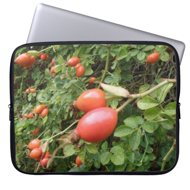 Sappige Rode Rozenbottels Laptop Tas (Voorkant)