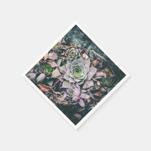 sappige servetten (Hoek)